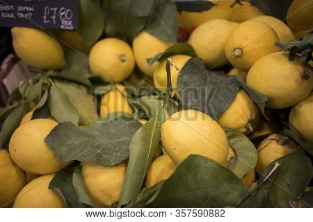Large Lemons With Thick Peels At The Farmers Market.