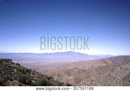 Joshua Tree National Park California In Spring
