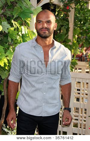 LOS ANGELES - 6 août: Amaury Nolasco arrivant à la première mondiale de The Odd Life de Timothy Gree