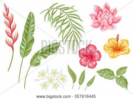 Set Of Tropical Flowers And Leaves. Decorative Exotic Foliage, Palms And Plants.