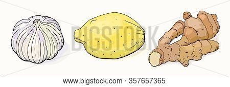 Folk Remedy For Colds. Garlic, Ginger And Lemon Set. Isolated Objects On White Background. Vector Il