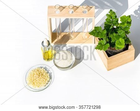 Yellow Cosmetic Color (oil), Microcrystalline Wax And Candelilla Wax. Chemicals For Beauty Care Beau