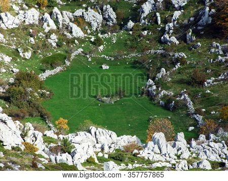 Green Karst Pastures In The Velebit Plateaus, Croatia (zeleni Krski Pasnjaci Na Velebitskim Visoravn