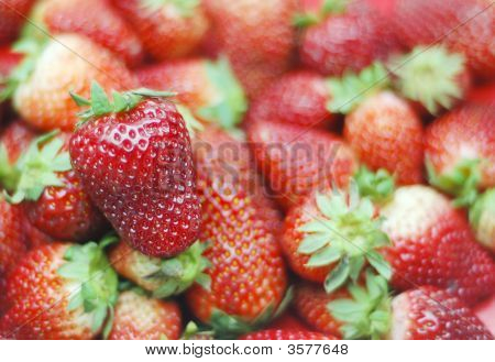 Morangos
