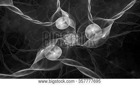 Quantum Correlation Effect, Computer Generated Abstract Intensity Map, Black And White