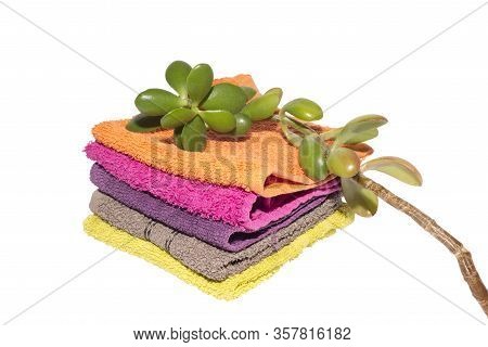 Facecloths Of Various Shades With Natural Green Plant