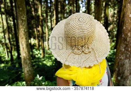 traveling Asian woman hiking in the forest at Xitou, Nantou, Taiwan
