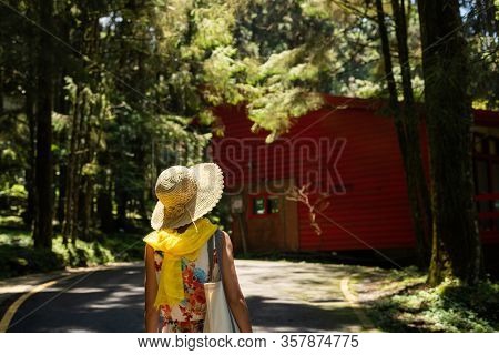 traveling Asian woman hiking in the forest at Xitou, Nantou, Taiwan