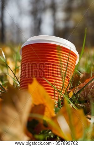 Autumn Yellow Foliage During Leaf Fall, In Nature In The Park Fell Into The Grass, Close-up Of Folia