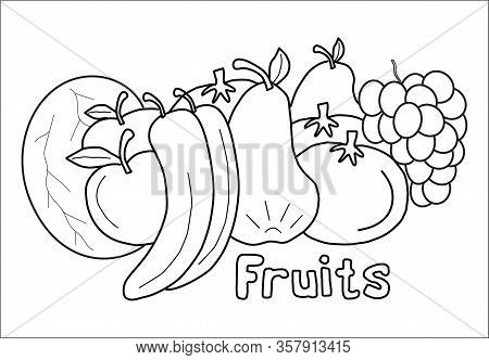Fruits Coloring Book For Children At The School