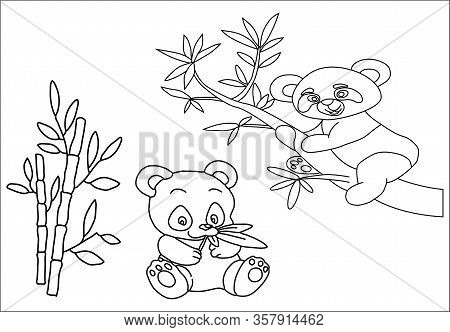Panda Coloring Book At The Zoo For Children