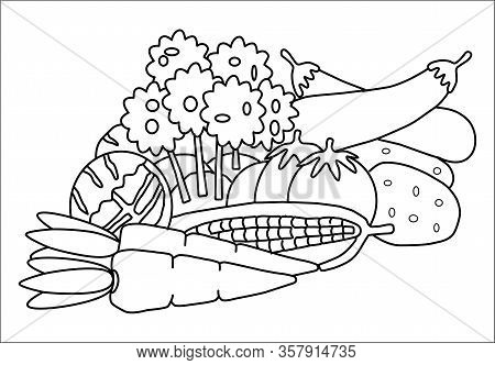 Vegetables Coloring Book For Children At The School