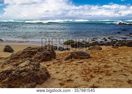 A Hawaiian Green Sea Turtle Lounging In The Sand On Laniakea Beach.