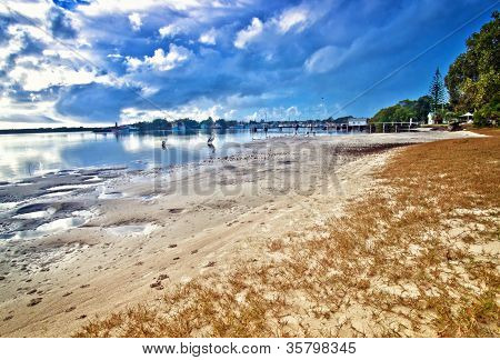 Yamba Nsw mit Pelikane am Strand Fluss