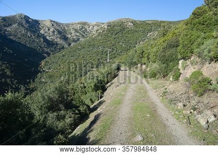 View Of The Monte Correxerbu In Sinnai