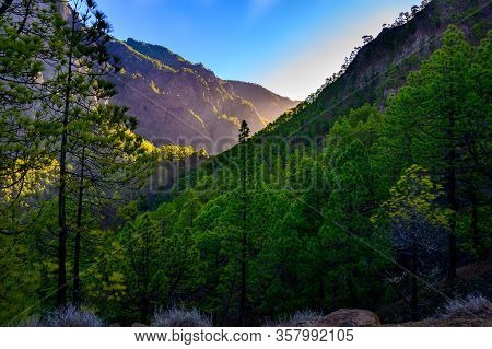 Scenic View On Caldera De Taburiente With Green Pine Forest, Ravines And Rocky Mountains Near Viewpo
