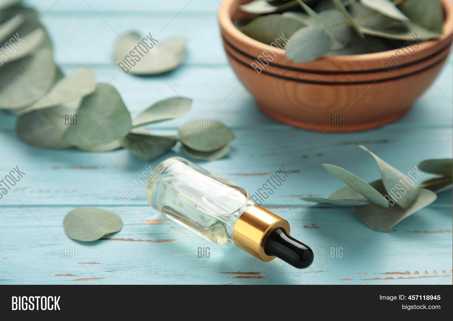 Eucalyptus Essential Image & Photo (Free Trial) Bigstock