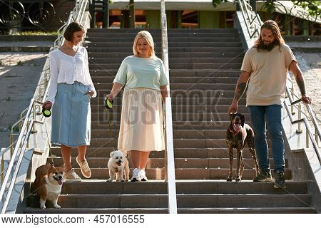 Three Positive Caucasian People With Their Dogs Going Down On Staircase In City. Corgi, Kurzhaar And