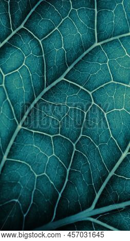 Plant Leaf Closeup. Mosaic Pattern Of  Cells And Veins. Blue-green Dark Mobile Phone Wallpaper. Abst