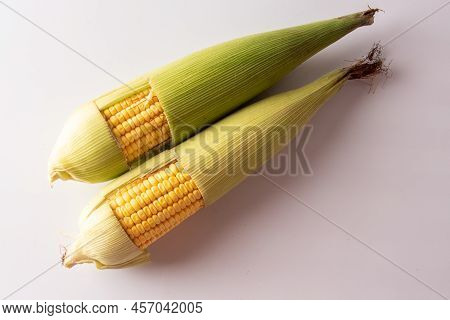 .typical Foods Of Festa Junina Brazilian Isolated On White Background. Corn