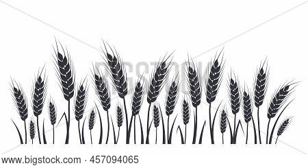 Wheat, Oat, Rye Or Barley Field Silhouette. Cereal Plant Border, Agricultural Landscape With Black S
