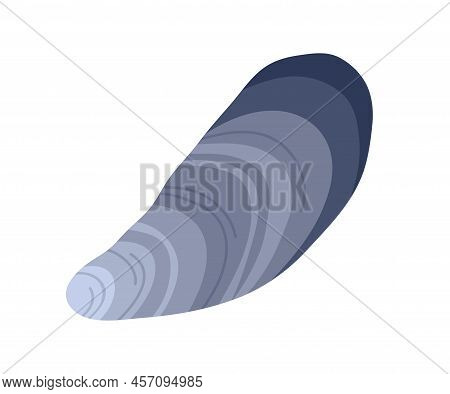 Mussel, Sea Clam. Closed Seashell, Mollusk. Marine Mussle Mollusc. Undersea Shellfish, Shell. Flat V