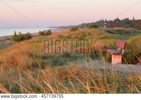 Empty Wooden Bench On A Sand Dune With Dune Grass On A Sunny Morning At Marielyst, Denmark