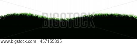Grass. Nature Rural Landscape. Pasture Overgrown. Overgrown Dense Lawn. Isolated On White Background