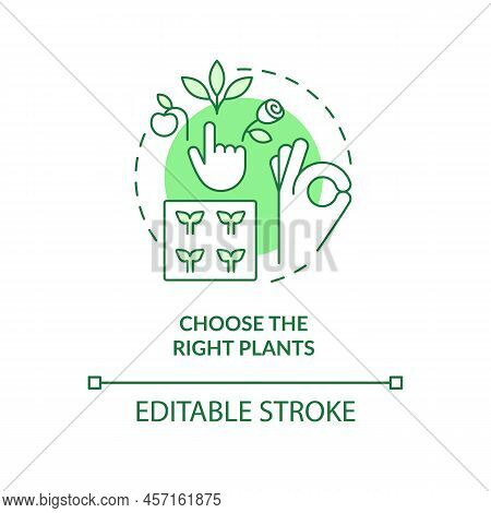 Choose Right Plants Green Concept Icon. Place And Condition. Gardening Tip Abstract Idea Thin Line I