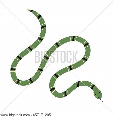Poisonous Green Snake. An Exotic Reptile With A Striped Pattern. Wild Tropical Animal. Wildlife And 