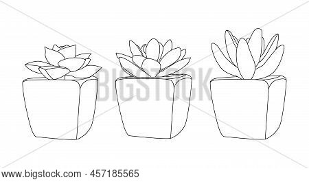 Eco Interior With Succulents In Simple Linear Style. Editable Stroke Vector Illustration
