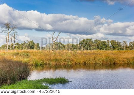 Autumn Colors In The Moors Of Appelbergen In Groningen, Netherlands