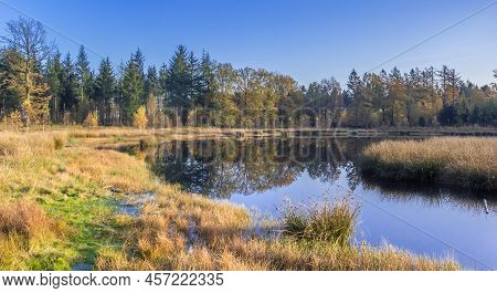 Panorama Of A Little Lake In The Nature Preserve Of Borger, Netherlands