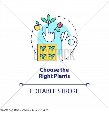 Choose Right Plants Concept Icon. Place And Condition. Gardening Tip Abstract Idea Thin Line Illustr