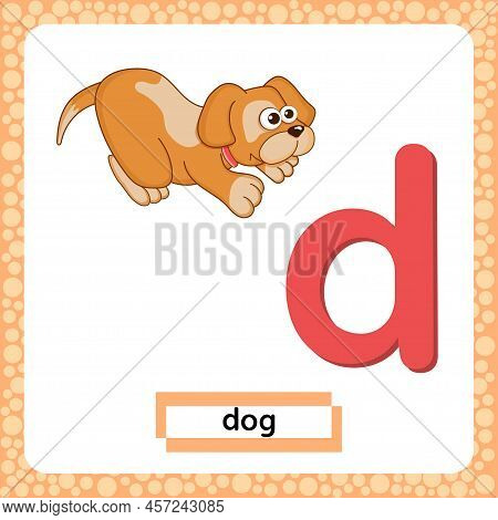 Letter D Lowercase With Cute Cartoon Dod Or Puppy Isolated On White Background. Funny Colorful Flash