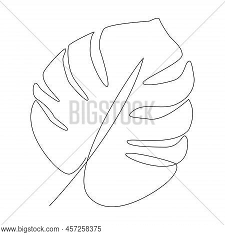 One Line Drawing Of Tropical Palm Leaves. Art. Vector Illustration.