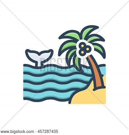 Color Illustration Icon For Seas Coast Seaboard Coastal-region Beach Sea Palm-tree Fish