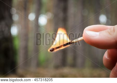 A Men Holds A Burning Match In A Hand In A Coniferous Forest. It Is Dangerous To Burn Fire In Forest