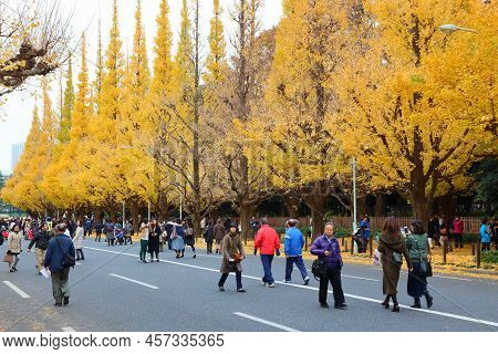 Tokyo, Japan - November 30, 2016: People Celebrate Ginkgo Avenue Autumn Foliage In Tokyo, Japan. Ich