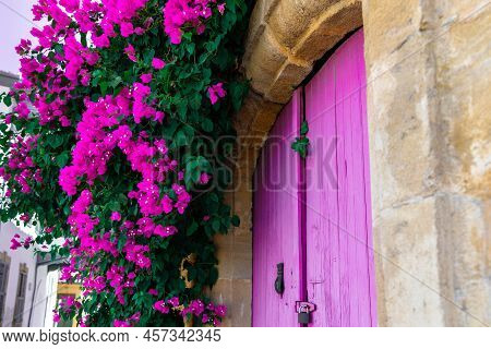 Pink Bougainvillea Flowers And Old Wooden Padlocked Door On Cyprus Street