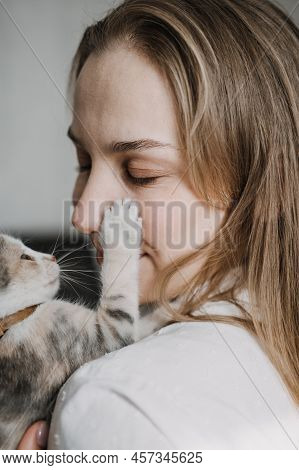 Cat Adoption, Adopt Kitten From Rescues And Shelters. Portrait Of Woman Playing With Outbred Adopted
