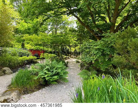 View Of Pathway Going Through Park With Beautiful Green Plants