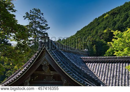 A Roof-top Of Yoshimine-dera Temple And The Trees.   Kyoto Japan