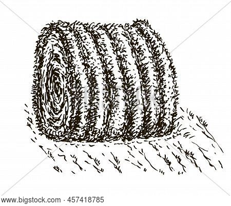 Rolled Hay Vector Icon. Stack Of Dry Field Grass. Sketch Round Straw Bale, Natural Farm Cattle Feed,