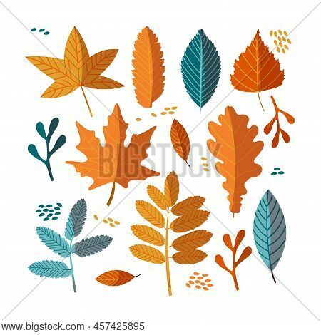 Autumn Vector Pack Of Bright Colorful Leaves
