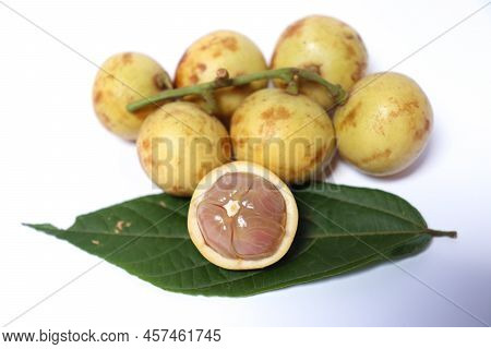 Baccaurea Motleyana With Leaf For Eat