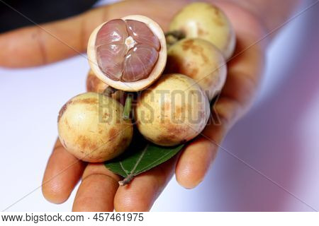 Baccaurea Motleyana With Leaf For Eat
