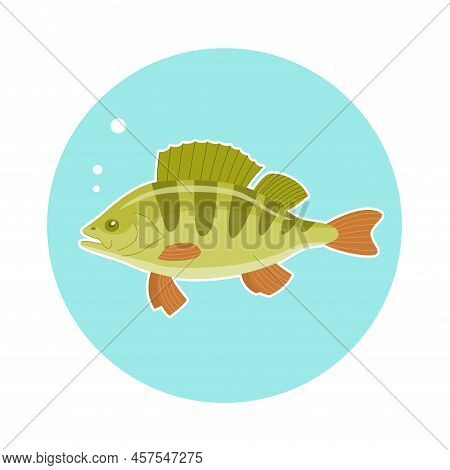 River Fish Perch. Cooking Delicious Food. Underwater Life. Cartoon Vector Illustration