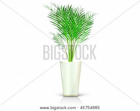 Beige vas med Palm