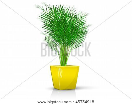 Gul vas med Palm